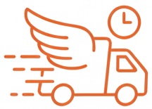 Fast shipping icon